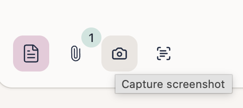 The prompt toolbar with the camera button hovered, showing a “Capture screenshot” tooltip